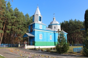 14 листопада 2020 р. Божественна літургія в храмі Великомученика Димитрія Солунського в с. Антонівка Горохівського деканату. Очолює митрополит Луцький і Волинський Михаїл. Світлини інформаційної служби єпархії.