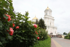 15 червня 2020 р. Троянди біля кафедрального собору Святої Трійці у Луцьку.